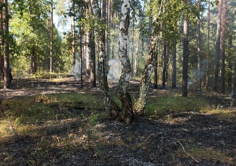 В Бузулукском бору произошло 2 пожара из-за грозового разряда