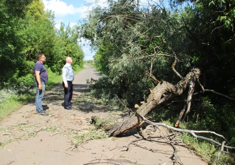 В Бузулукском районе устраняют последствия сильного урагана