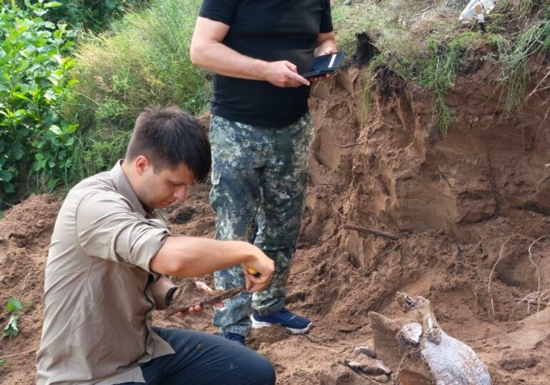 В Оренбургской области нашли череп жившего 20 тысяч лет назад шерстистого носорога