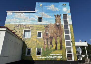 Степь, застывшая в красках