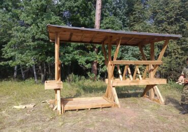 В Бузулукском бору зимой откроются 12 звериных «столовых»