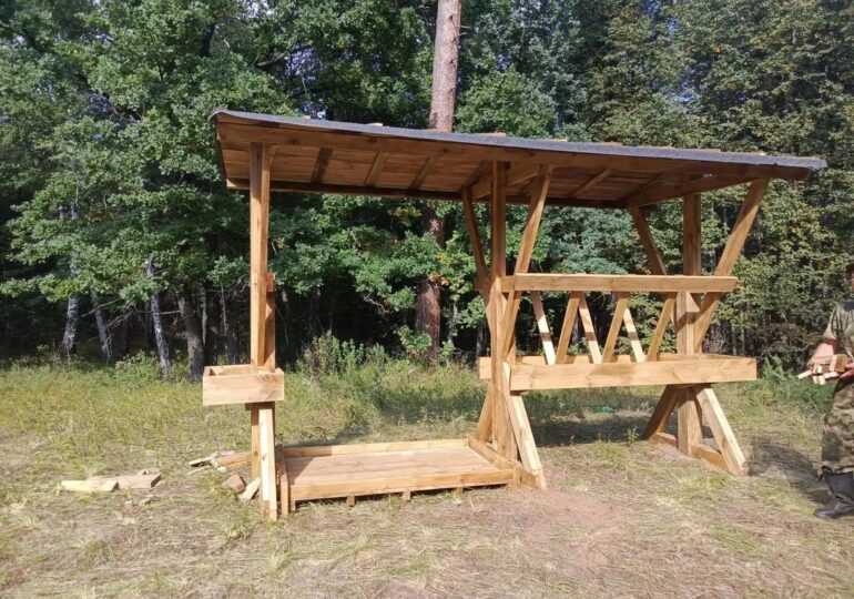 В Бузулукском бору зимой откроются 12 звериных «столовых»