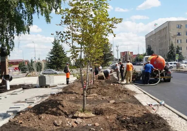В бузулукском сквере имени Юрия Романенко высадили новые деревья