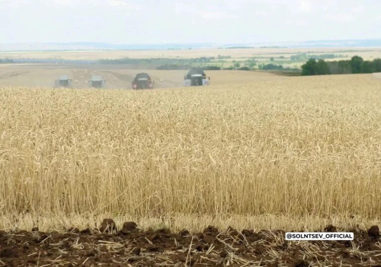 Бузулукский район лидирует по намолоту зерна в Оренбуржье